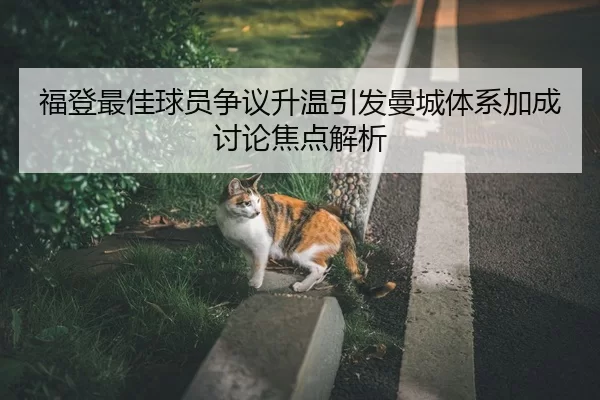 福登最佳球员争议升温引发曼城体系加成讨论焦点解析