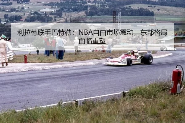 li-la-de-lian-shou-ba-te-lei-zi-you-shi-chang-zhen-dong-dong-bu-ge-ju-mian-lin-zhong-su-3-953.jpg