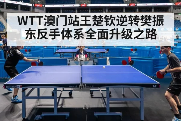 WTT澳门站王楚钦逆转樊振东反手体系全面升级之路
