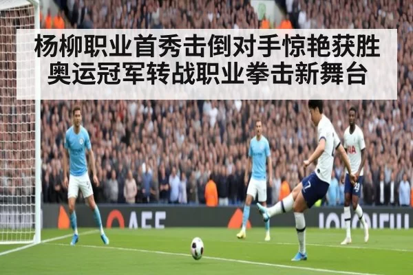杨柳职业首秀击倒对手惊艳获胜 奥运冠军转战职业拳击新舞台