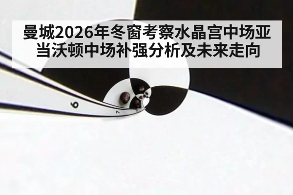 曼城2026年冬窗考察水晶宫中场亚当沃顿中场补强分析及未来走向