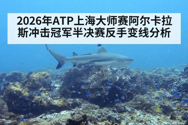 2026年ATP上海大师赛阿尔卡拉斯冲击冠军半决赛反手变线分析